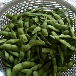 茹で枝豆☆美味しく茹でるコツ